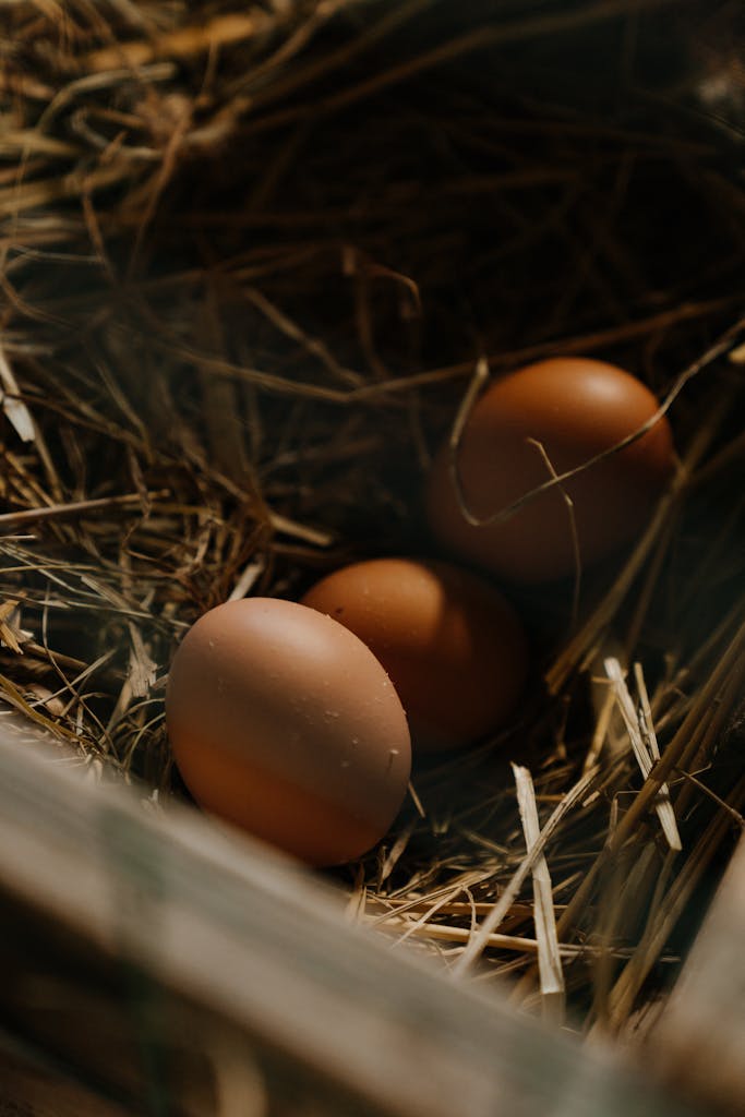 Close-up of brown eggs nestled in straw, evoking a farm-fresh, rural vibe.