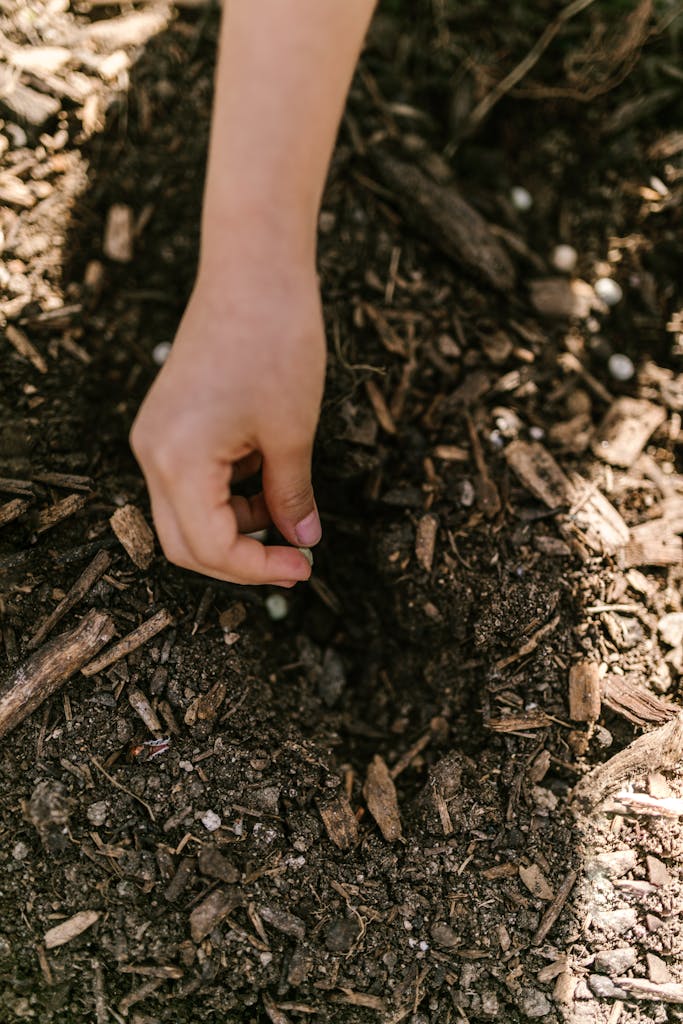 Close-up of a hand planting a seed in soil, perfect for gardening and nature concepts.